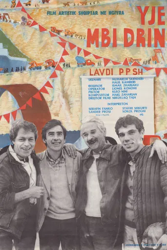 Movie poster for Stars Over the River Drin (1978)