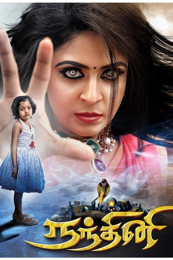Series poster for Nandhini