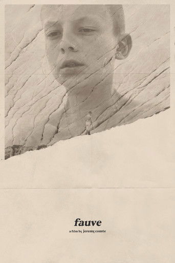 Fauve poster