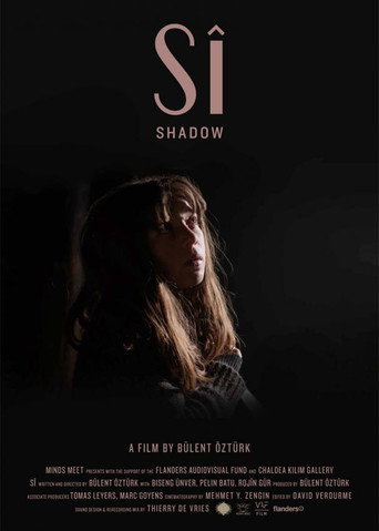 Movie poster for Shadow (2015)