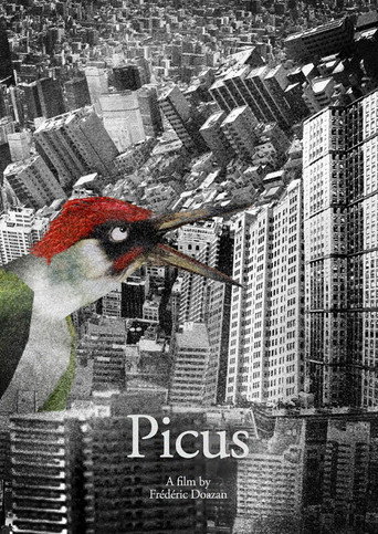 Movie poster for Picus (2023)