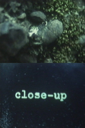 Movie poster for Close-Up (1993)