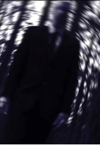 Series poster for Trial of Leaves (2013)