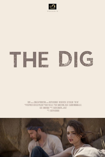 Movie poster for The Dig (2017)
