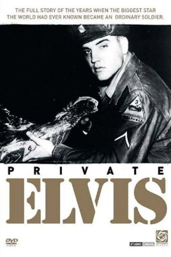 Movie poster for Private Elvis (1993)