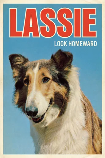 Movie poster for Look Homeward (1965)