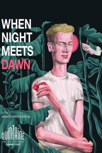 Movie poster for When Night Meets Dawn (2021)