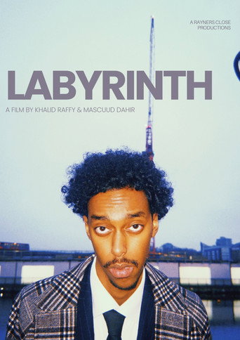 Movie poster for Labyrinth (2025)