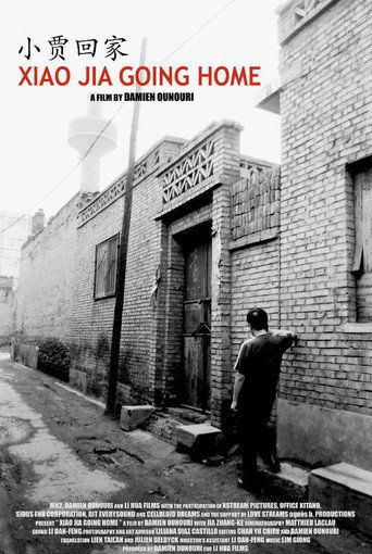 Movie poster for Xiao Jia Going Home (2007)