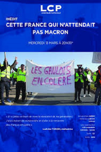 Movie poster for Cette France qui n’attendait pas Macron (2019)