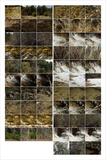 Movie poster for Interactions 3: Forest and Stream (2023)