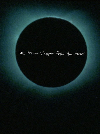 Movie poster for She Drank Vinegar from the River