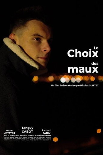 Movie poster for Le choix des maux (2018)