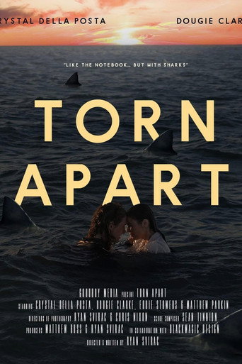 Movie poster for Torn Apart (2024)
