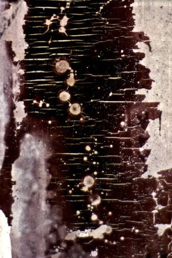 Movie poster for Ulm Kinole (1988)