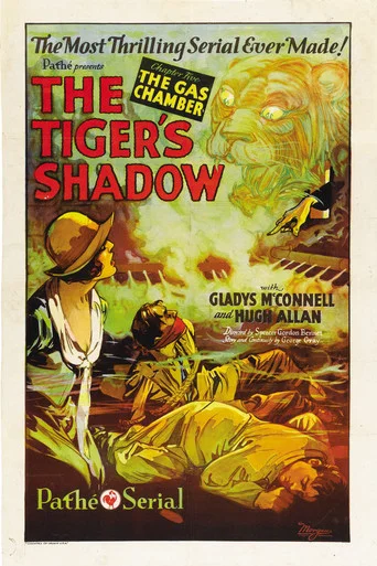 Movie poster for The Tiger's Shadow (1928)