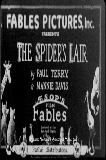Movie poster for The Spider's Lair (1928)