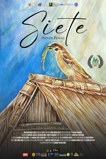 Movie poster for Siete (Seven Pesos) (2024)
