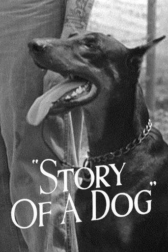 Movie poster for Story of a Dog (1945)