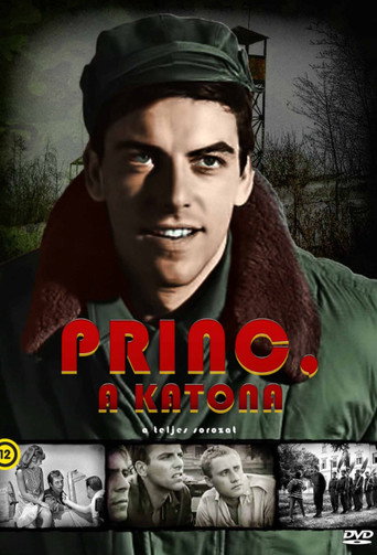 Princ, a katona poster