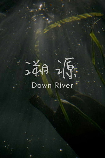 Movie poster for Down River (2016)