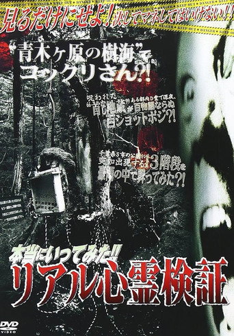 Movie poster for I Really Went There!! Real Supernatural Investigation (2008)