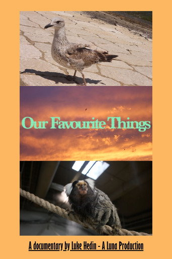 Movie poster for Our Favourite Things (2026)