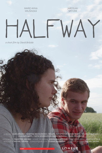 Movie poster for Na půli cesty (2016)