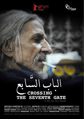 Movie poster for Crossing the Seventh Gate (2017)