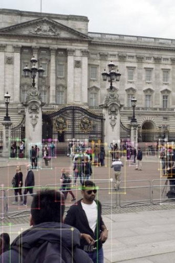 Ostrich Theory poster