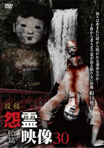 Movie poster for Posted Grudge Spirit Footage Vol.30: Embryo Edition (2017)