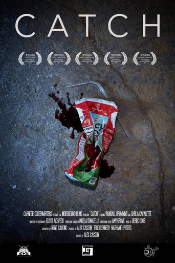 Movie poster for Catch (2018)