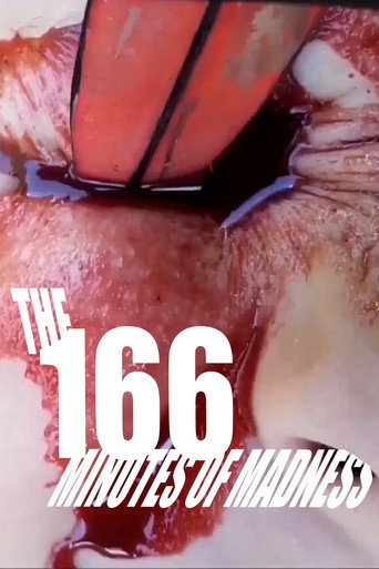 Movie poster for The 166 Minutes of Madness (2022)