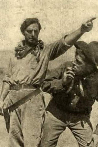 Movie poster for American Born (1913)