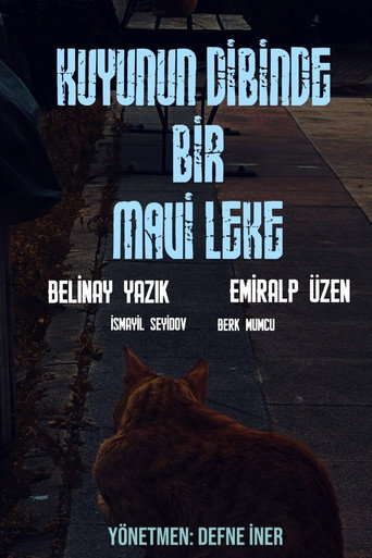 Movie poster for Kuyunun Dibinde Bir Mavi Leke (2026)