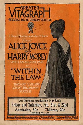 Movie poster for Within the Law (1917)
