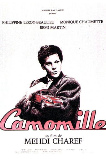 Camomille poster