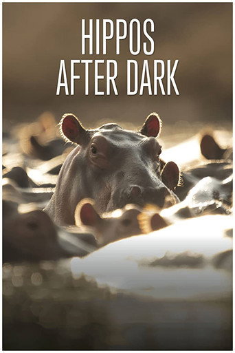 Movie poster for Hippos after Dark (2015)