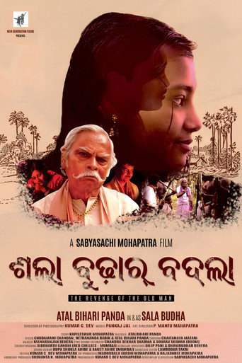 Movie poster for Sala Budhar Badla (2020)