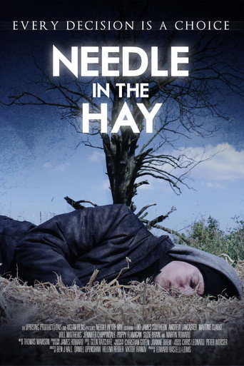Movie poster for Needle in the Hay (2011)
