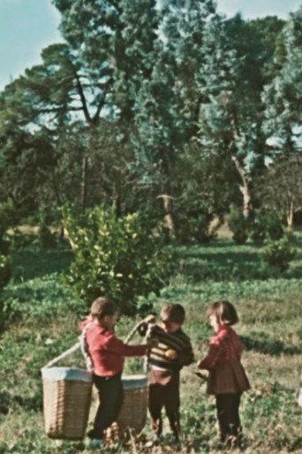 Movie poster for Kolkhida (1967)