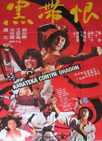 Movie poster for Two in Black Belt (1978)