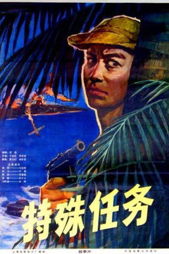 特殊任务 poster