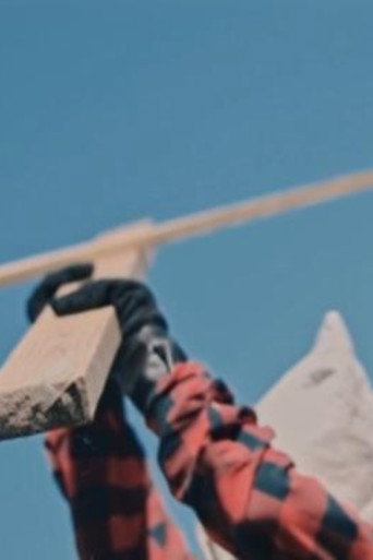 Movie poster for Scarecrow (2020)