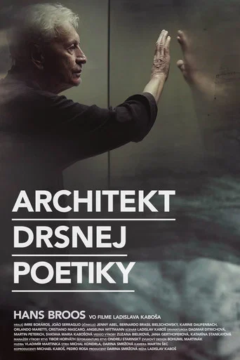 Movie poster for Architect of Brutal Poetry (2021)