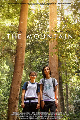 Movie poster for The Mountain (2017)