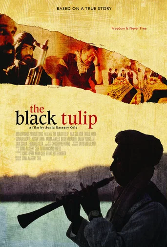 Movie poster for The Black Tulip (2012)