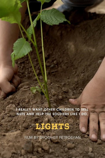 Movie poster for Lights