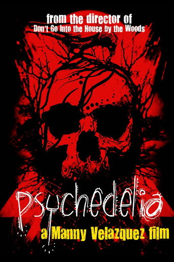 Movie poster for Psychedelia (2016)