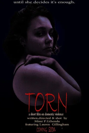 Movie poster for Torn (2023)